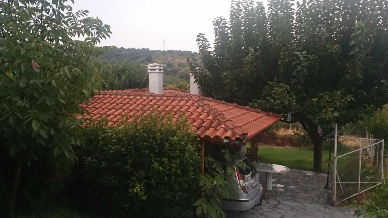 Eleni'S Village Relaxation Home Едипсос Екстериор снимка